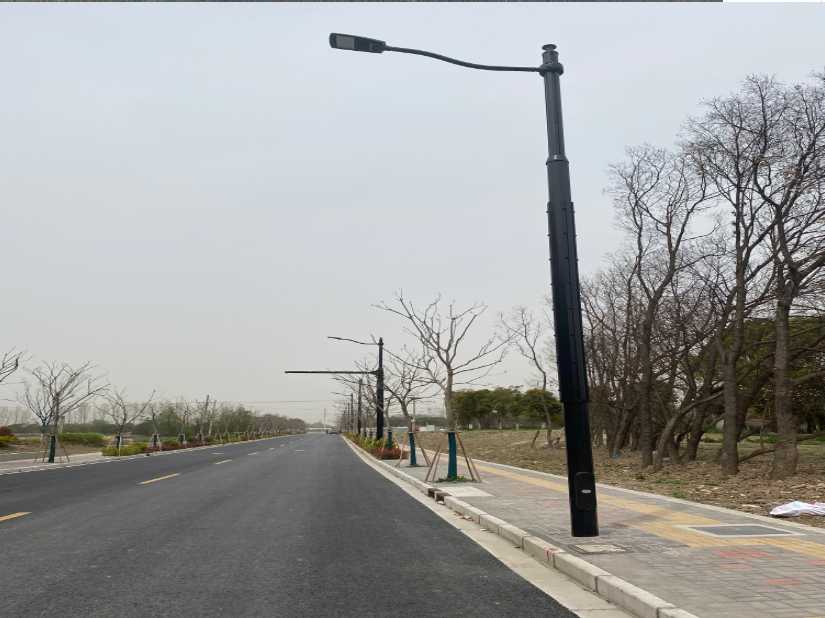 成武县上海综合杆 太阳能路灯工程